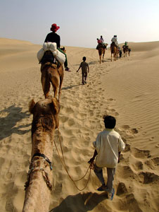 Camel Safari, Camel Safari in Rajasthan