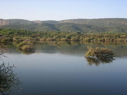 Sariska National Park Rajasthan