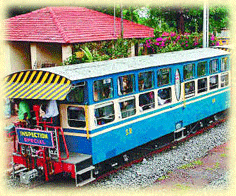 toy train ooty