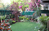 Special Offer for Arun Bani Home Stay