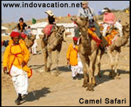 The Rawla Camp Retreat Camel Safari