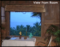 Somatheeram Resort Room View