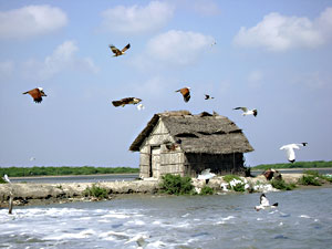 Point Calimere Wildlife Sanctuary Tamil Nadu