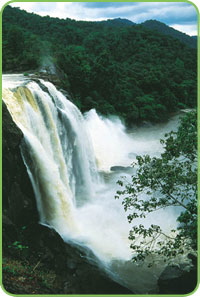 Palaruvi Waterfalls, Kerala
