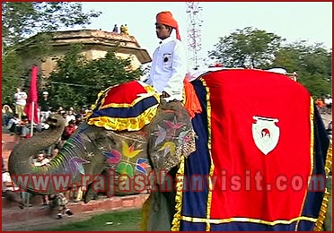 Elephant Festival in Jaipur, Rajasthan