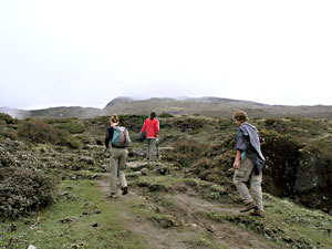 Dzongri Trekking