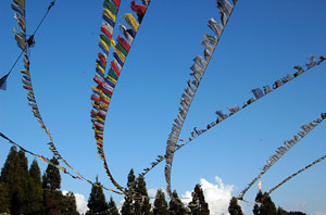 Prayer Flags Sikkim