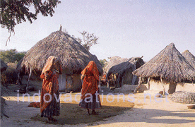 Rajasthan Village Women