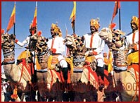Camel Festival of Rajasthan