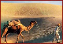 Sand dunes in desert of Rajasthan