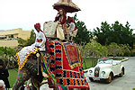 Royal Indian Wedding in Devigarh Palace Rajasthan