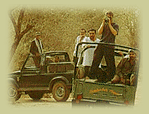 Safari Tours, Jeep Safari Tours