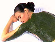 algotherapy at Indian Spa