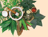 herbs in Ayurveda