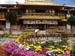 Tibet Tour Norbulingka Jewel Park