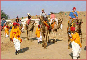 Camel Safari at the Desert Camp