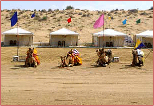 Luxury Tents and Camels at the Desert Camp