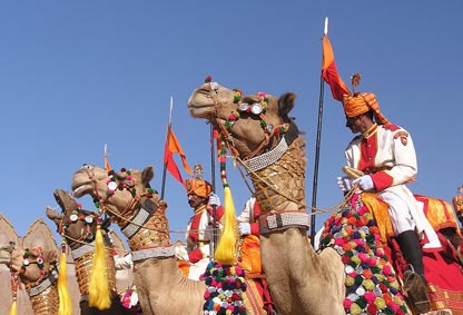 Bikaner Festival, Camel Festival