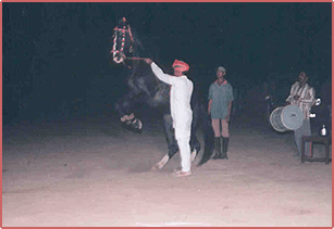 Horse Dance during the Cultural Program