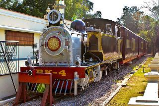 Royal Orient Train, Indian Royal Train