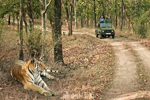 Pench National park