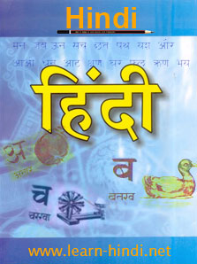 Hindi, Hindi Language