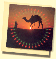 camello y cabeza en el desierto del Rajasthn con colocarle ms sol 