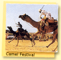 Camel Festival, 7 Days Rajasthan Tour
