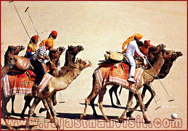 Camel Polo in Rajasthan