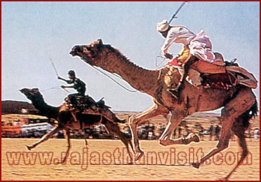 Camel Race in Rajasthan