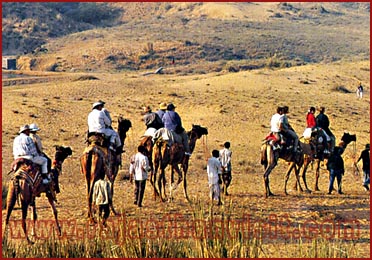 camel safari, Rajasthan