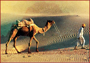 Dunes in Jaisalmer