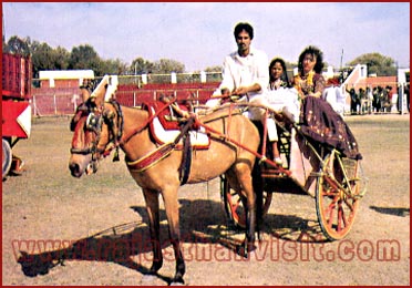 Ekka Ride-Bikaner Rajasthan