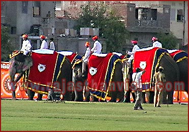 Elephant Festival in Jaipur, Rajasthan