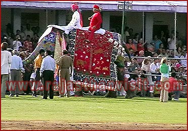 Elephant Festival in Jaipur, Rajasthan