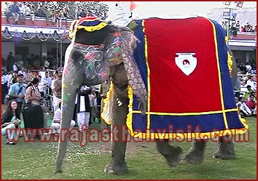 Elephant Festival in Jaipur, Rajasthan