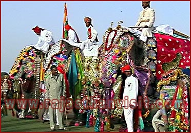 Elephant Festival in Jaipur, Rajasthan