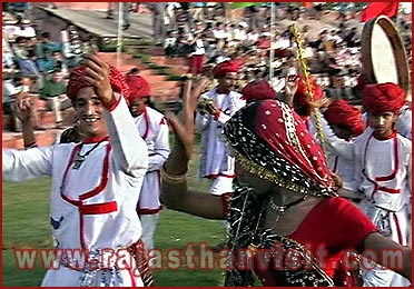 Elephant Festival in Jaipur, Rajasthan