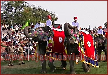 Elephant Festival in Jaipur, Rajasthan