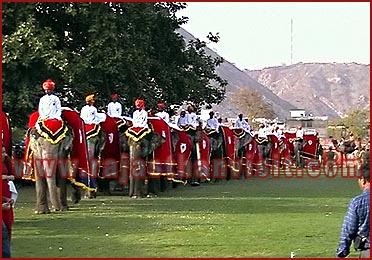 Elephant Festival in Jaipur, Rajasthan