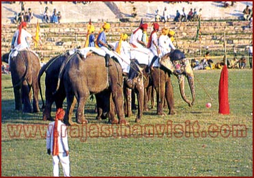 Elephant Festival in Jaipur, Rajasthan