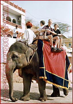 Elephant Festival in Jaipur, Rajasthan