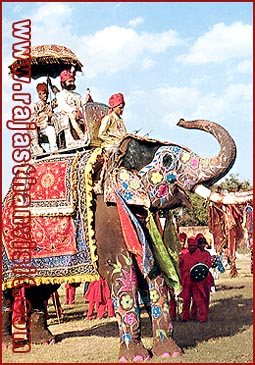 Elephant Festival in Jaipur, Rajasthan