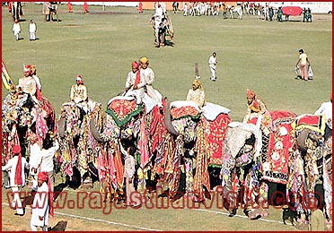 Elephant Festival in Jaipur, Rajasthan