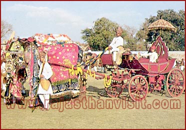 Elephant Festival in Jaipur, Rajasthan