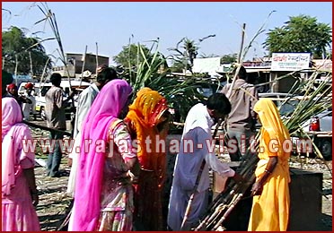 Women purchasing sugarcane-Pushkar Fair, Rajasthan