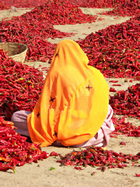 Industries in Rural Rajasthan