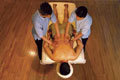 Ayurveda Training