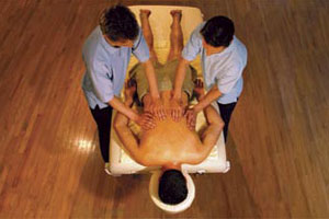 Ayurveda Training, Ayurveda Training in Rajasthan.