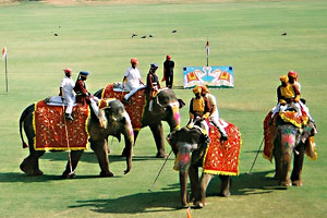 Elephant Polo, Elephant Polo in Rajasthan